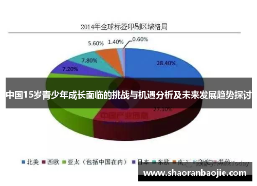 中国15岁青少年成长面临的挑战与机遇分析及未来发展趋势探讨