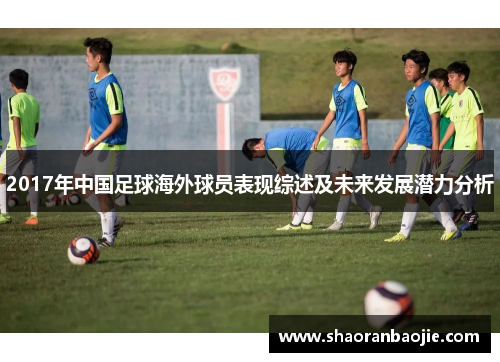 2017年中国足球海外球员表现综述及未来发展潜力分析 2017年中国足球海外球员表现综述及未来发展潜力分析