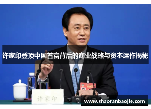 许家印登顶中国首富背后的商业战略与资本运作揭秘 许家印登顶中国首富背后的商业战略与资本运作揭秘